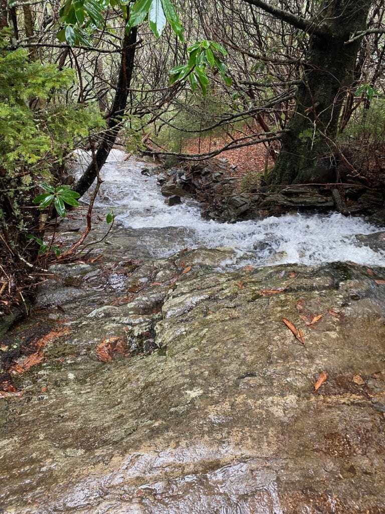 Large creek on Mt. Mitchell trail