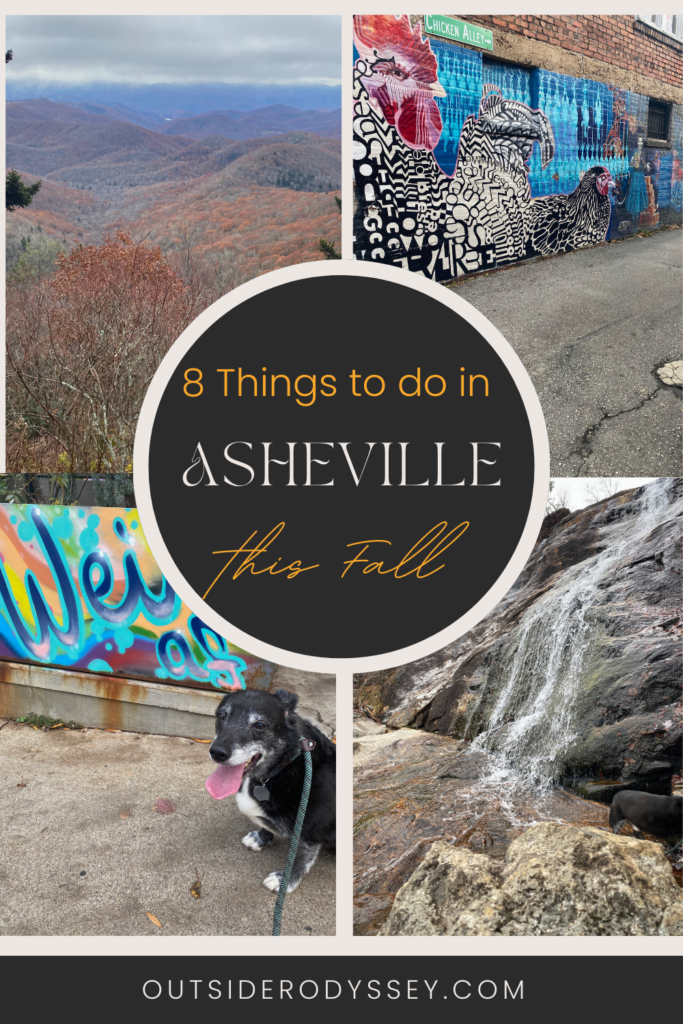 Why You Should Visit Asheville