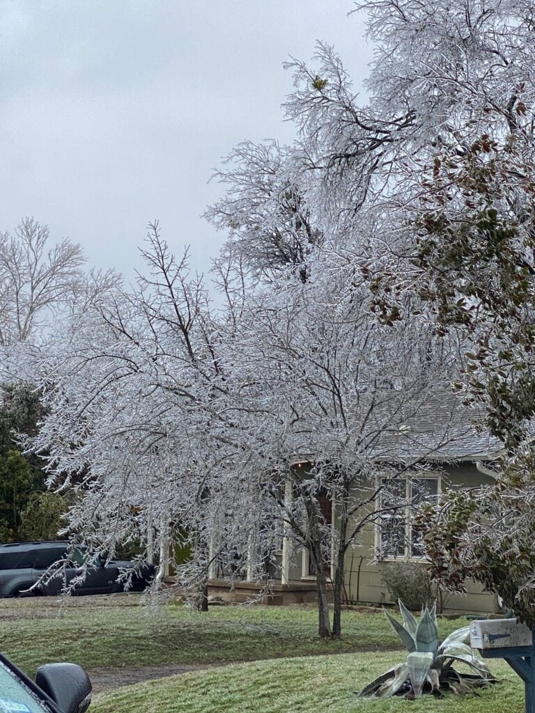 Snow in Austin, TX