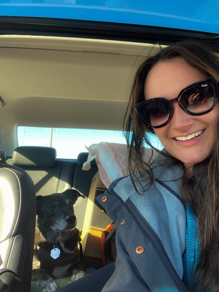 woman in car driver's seat with dog in back seat