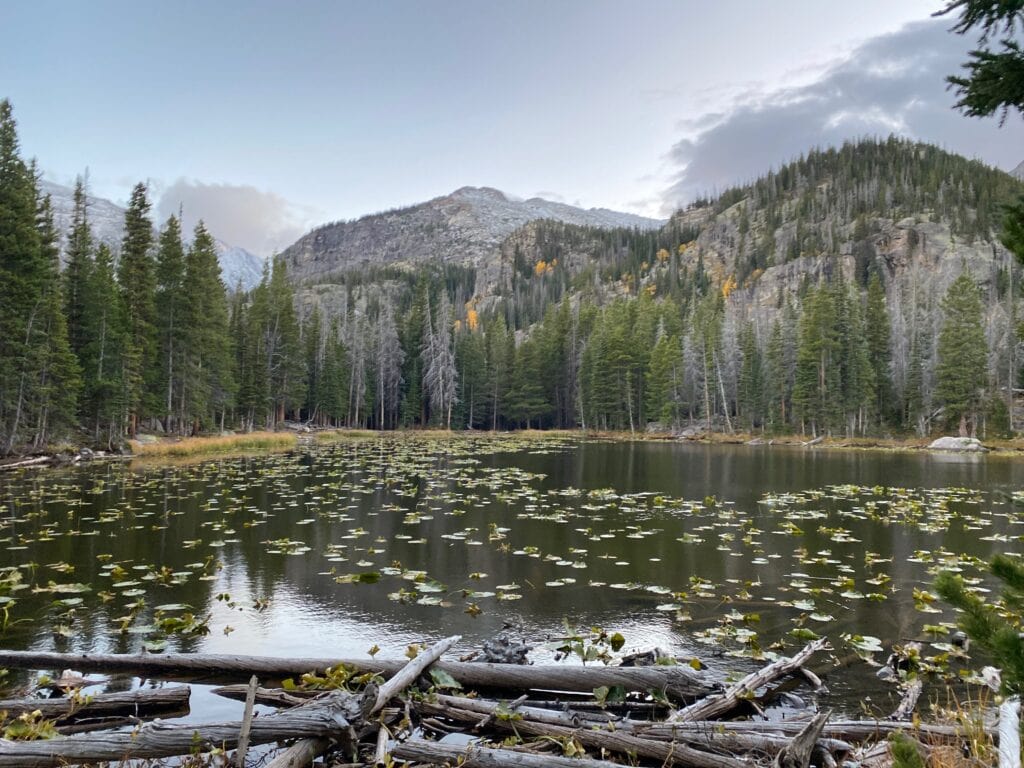 Nymph Lake at Rocky Mountain National Park
