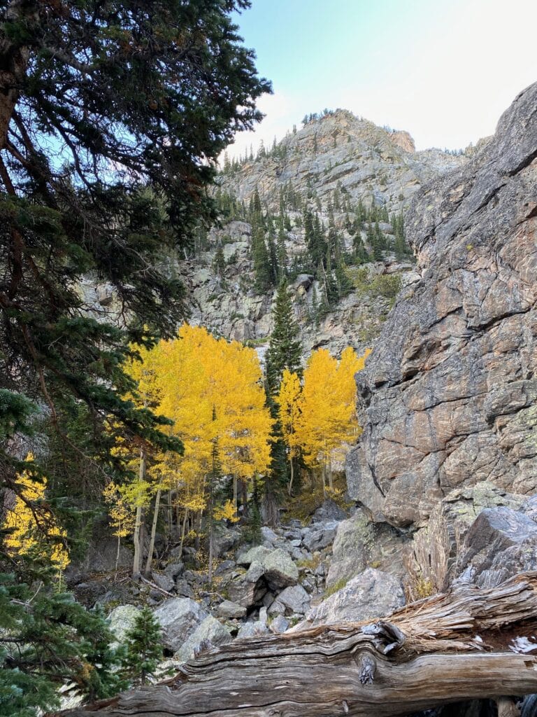fall leaves along Emerald Lake Trail