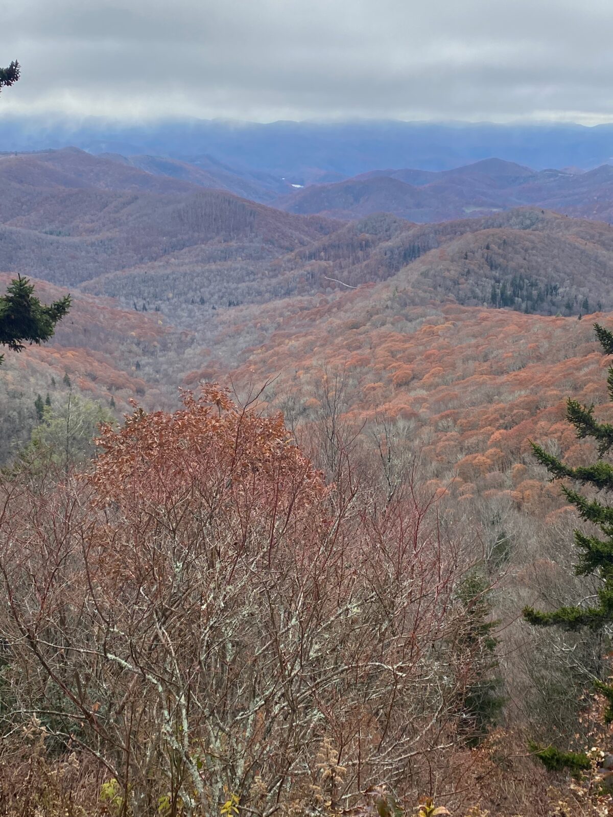 Blue Ridge Mountains - why you should visit Asheville