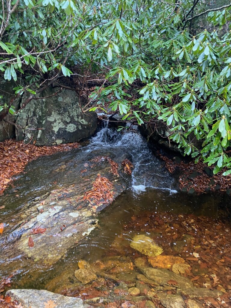 Small creek along a trail