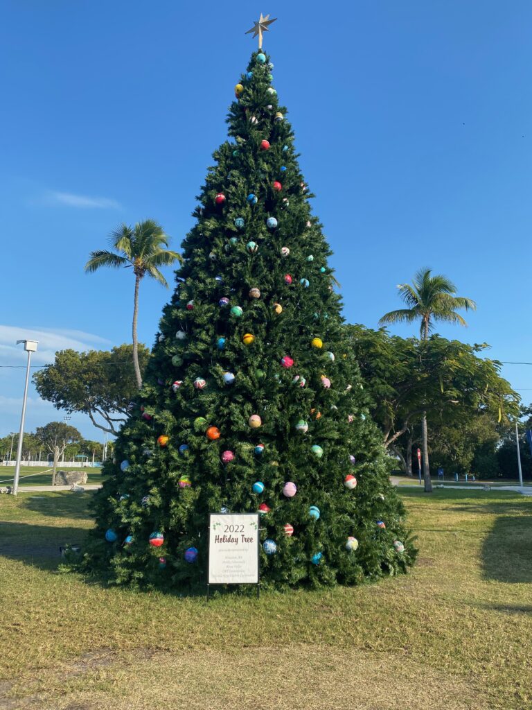 Christmas Tree in Florida Keys