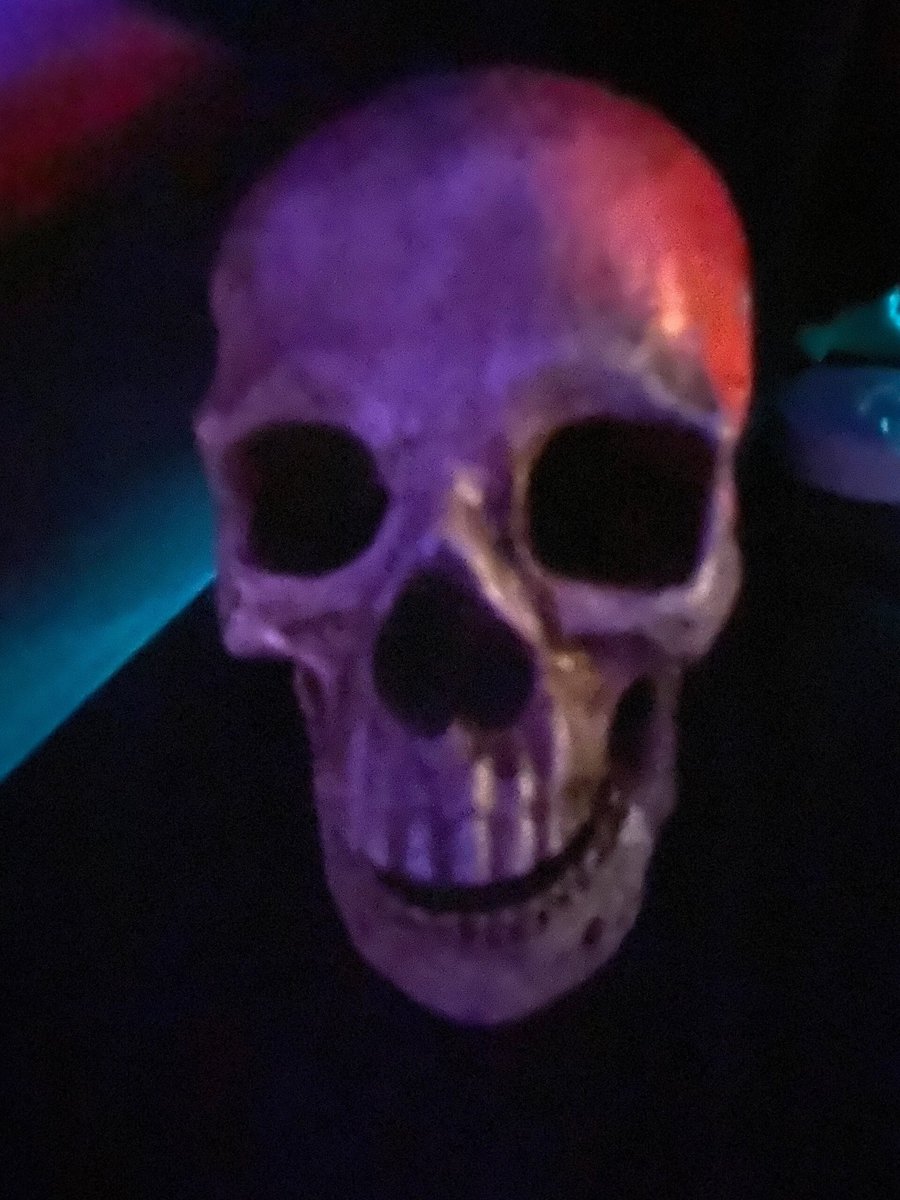 A skull decoration