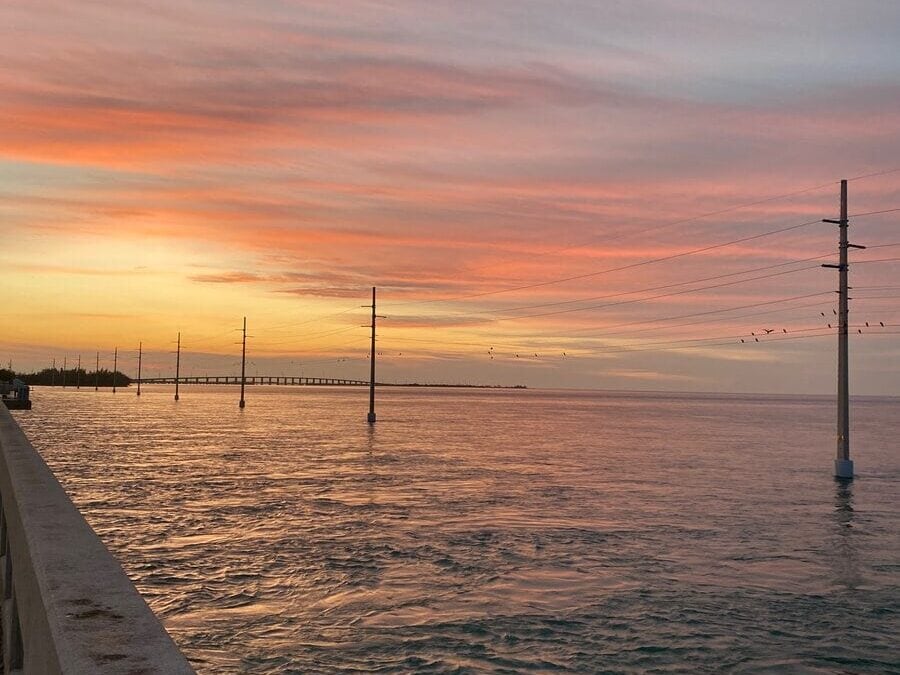 A serene sunset over calm ocean water, with colorful pink and orange clouds in the sky. Power lines stretch across the water, and a distant bridge is visible on the horizon. Birds fly near the lines.