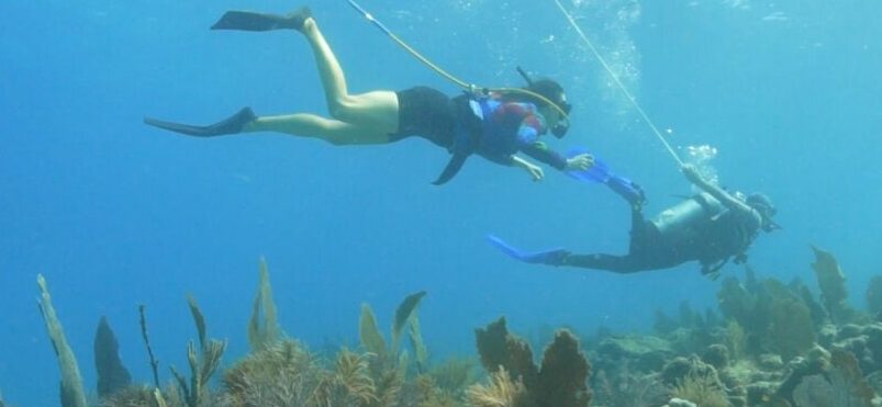 Two divers, one ahead of the other and connected by a safety line, swim above a coral reef in clear blue water. The scene shows underwater plants and marine life below them.