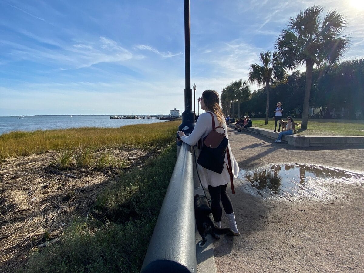 A woman in black and white clothing leans on a railing, gazing at the water under a clear blue sky. Palm trees and people sitting on benches are visible in the background, with sunlight shining from the right.