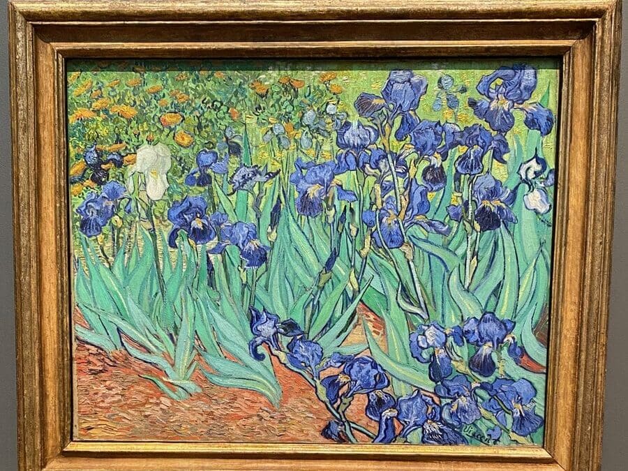A framed painting of vibrant blue and purple irises with green leaves against a background of yellow and orange flowers, displayed on a gray wall in an art gallery.