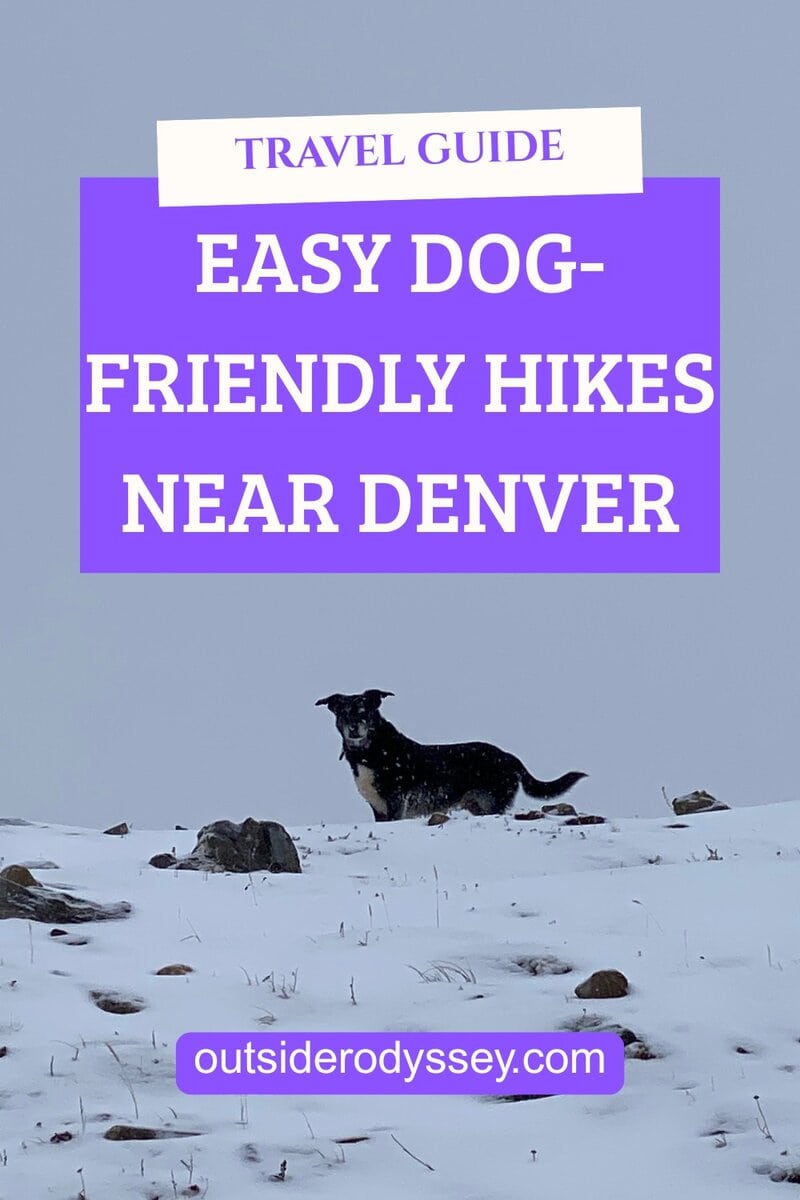 A black dog stands on a snowy hill under a gray sky. Text above reads: Easy Dog-Friendly Hikes Near Denver – Your Travel Guide. Website outsiderodyssey.com appears at the bottom.