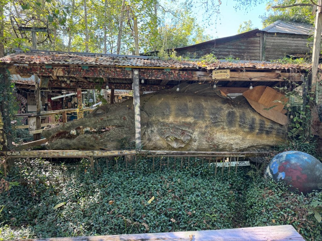 A large, weathered shark sculpture lies partially covered by a rustic shelter with a corrugated metal roof at the Abita Mystery House, surrounded by dense greenery and scattered debris in an outdoor, wooded area.
