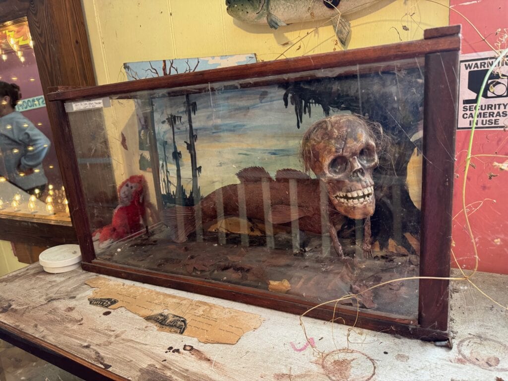 A glass display case contains a mummified mermaid-like figure with a human skull and fish body. The backdrop is a painted aquatic scene, and a red plush object sits inside the case. The setting appears old and cluttered.