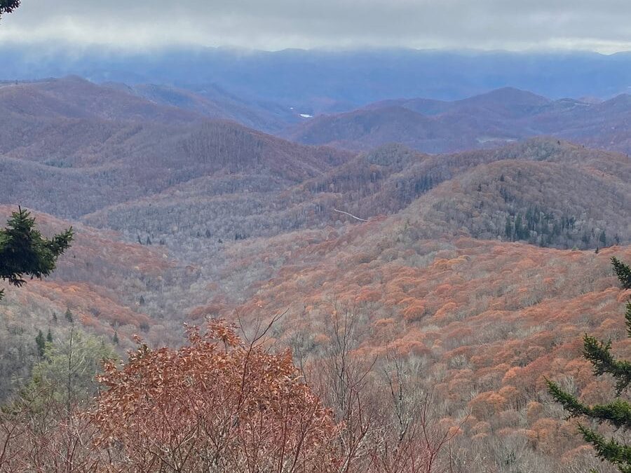 Blue Ridge Mountains - why you should visit Asheville