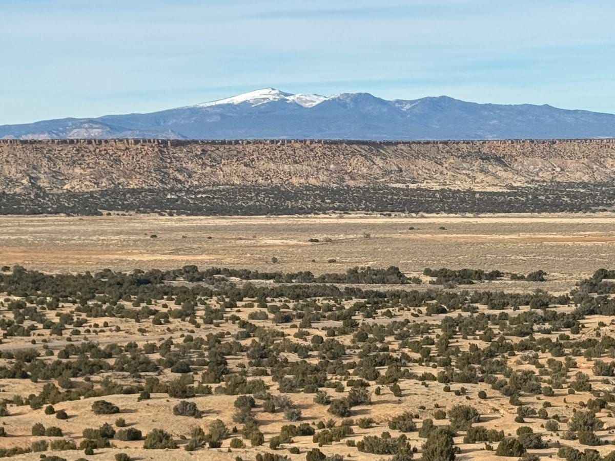 Wide desert landscape with scattered shrubs and small trees in the foreground, a flat-topped mesa in the middle, and distant snow-capped mountains under a blue sky with thin clouds in the background.