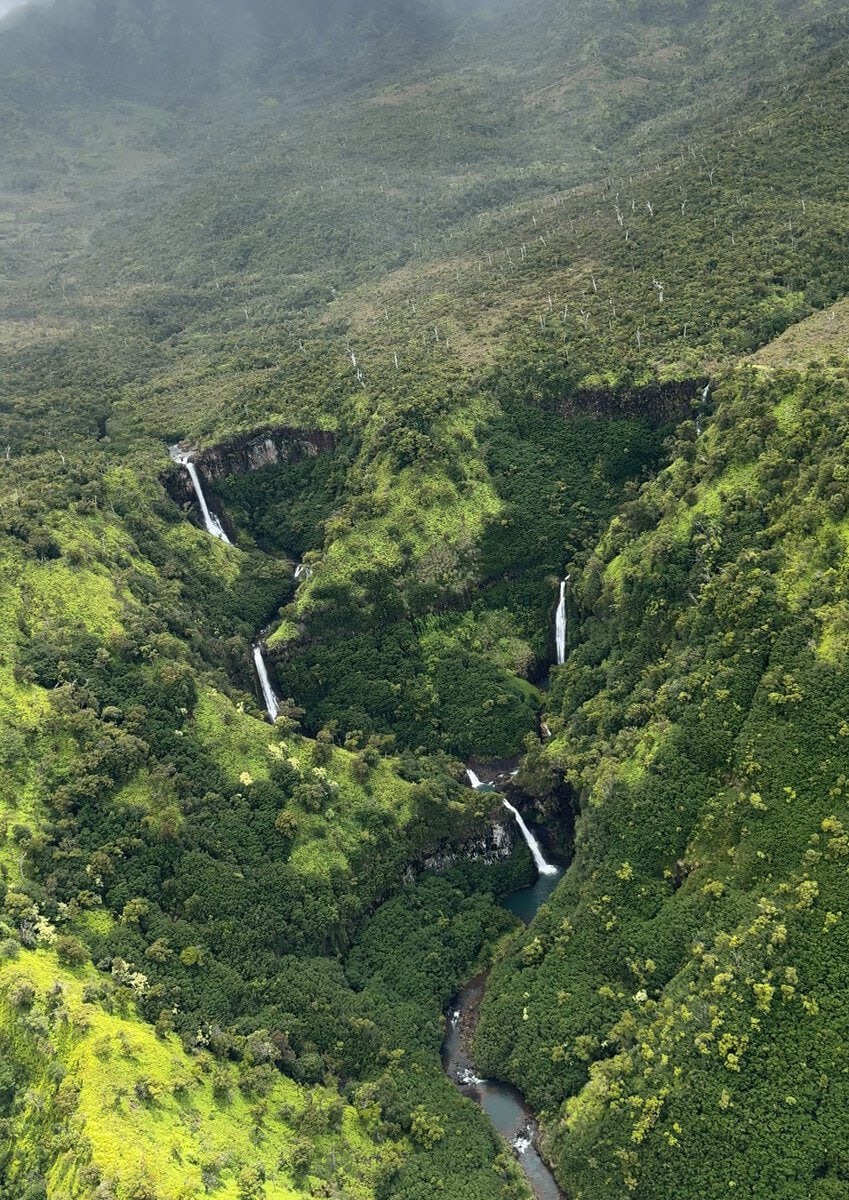 Aerial view of lush green hills with multiple cascading waterfalls flowing into a winding river, surrounded by dense vegetation—capturing one of the unforgettable things to do on Kauai.