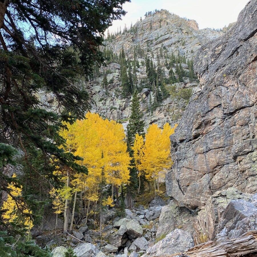 fall leaves along Emerald Lake Trail