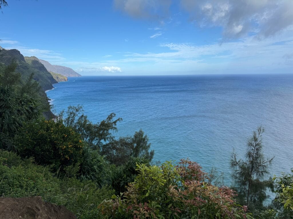 Ocean view with lush green plants in the foreground, blue water stretching to the horizon, and steep cliffs on the left under a partly cloudy blue sky—capturing the breathtaking scenery often admired along the Hanakapiai Falls Hike.